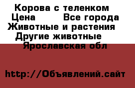 Корова с теленком › Цена ­ 69 - Все города Животные и растения » Другие животные   . Ярославская обл.